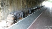 Imagine atasata: 20140828_155117.jpg